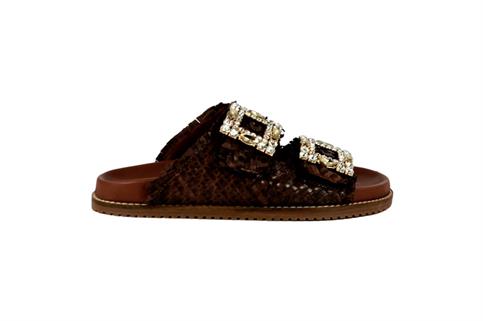 KAMMI 271MIRROR BROWN