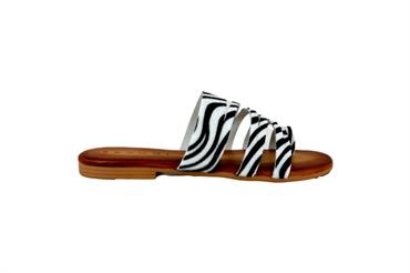 KAMMI 629307 ZEBRA BIANCA