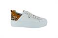 NERO GIARDINI 306532 707