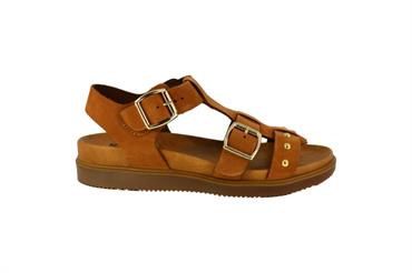 IGI&CO 3670222 CUOIO