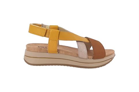 IGI&CO 5677633 CGIA
