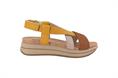 IGI&CO 5677633 CGIA
