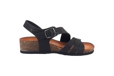IGI&CO 5698000 NNER
