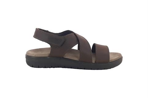 IGI&CO 5644411 MORO
