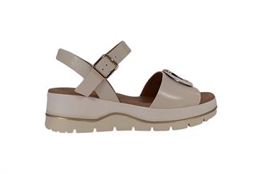 KAMMI 11219 AVOR