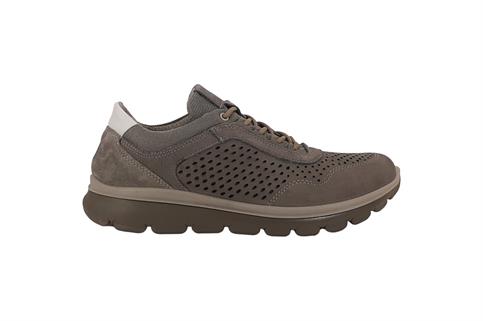 IGI&CO 7619133 PELT