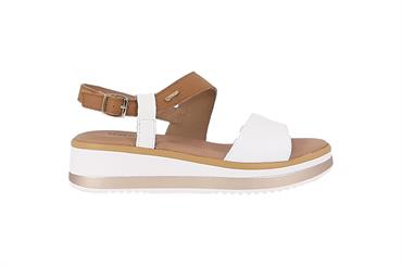 IGI&CO 7687500 BBIA