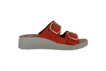 GRUNLAND CE0461 ROSS