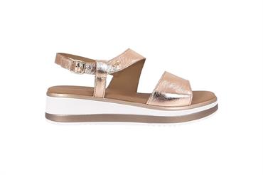 IGI&CO 7687522 CIPR