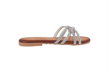 KAMMI 800307 ARGE
