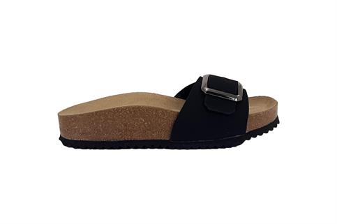 BIOMODEX 1533Q SNER