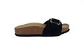 BIOMODEX 1533Q SNER