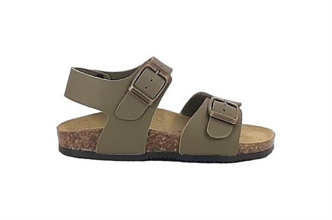 BIOMODEX J1805 OLIV