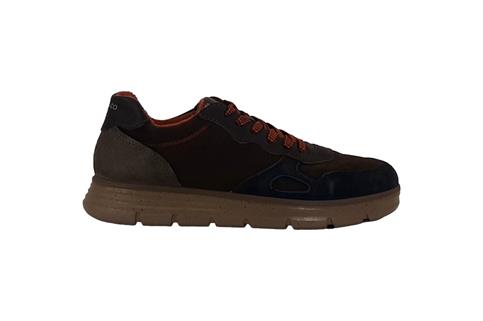 IGI&CO 8616100 NOTTE