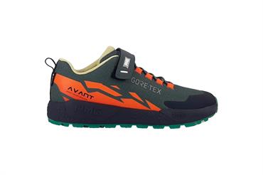 PRIMIGI 8916544J BOSCO