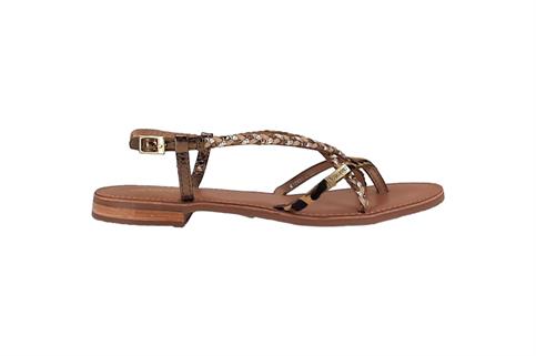 LES TROPEZIENNS MONATRES LEOP