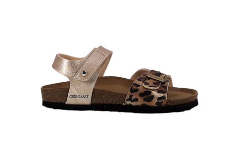 GRUNLAND SB1374JJ PMUL