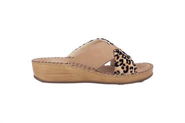 GREEN HILL 430840750 BPIE