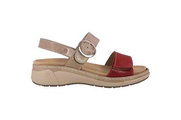 CALSUALVE 18004AT NFUX