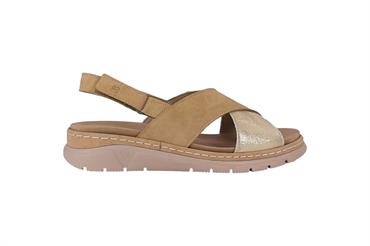 CALSUALVE 12505T BLEO