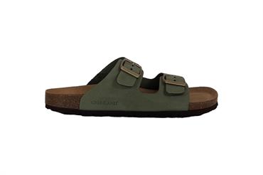 GRUNLAND CB6003 SALVIA