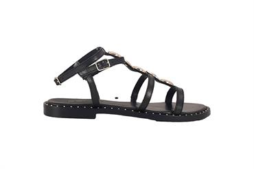 KAMMI 2461 NERO