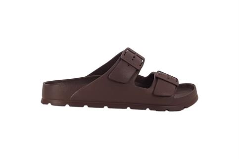 EVERLAST 123 ROAS