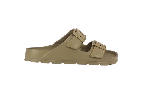 EVERLAST 123 CORN
