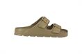 EVERLAST 123 CORN