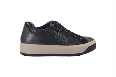 IGI&CO 2169633 ANTR