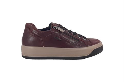 IGI&CO 2169622 BORD