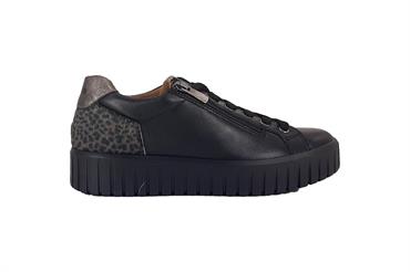 IGI&CO 2168600 NERO
