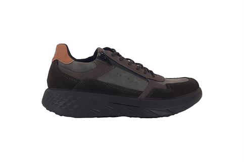 IGI&CO 2118311 CAFF
