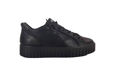 IGI&CO 2168400 NERO
