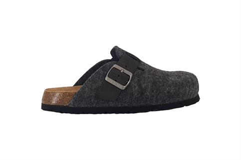 GRUNLAND CB0881 ANTR